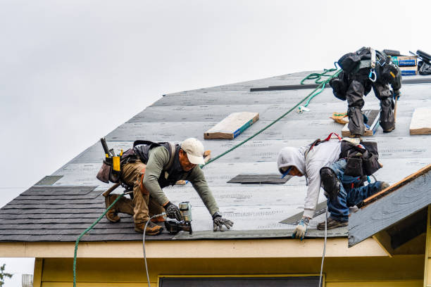 Professional Roofing technician working in Prospect, OR